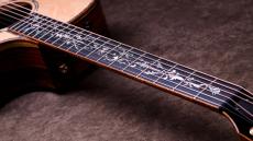 Taylor 【5/10迄、限定大特価+Fisman AMPプレゼント!】CTM GA Cocobolo × Bear Claw Spruce Top_6