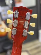 Gibson Les Paul Standard '50s Heritage Cherry Sunburst【ギブソン】【S/N:231150265】【4.06Kg】_4