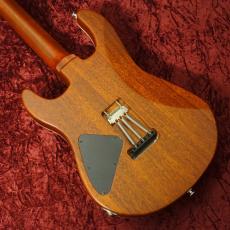 Kz Guitar Works 真・木太郎_4