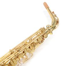 YANAGISAWA アルトサックス A-WO1_2