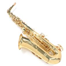 YANAGISAWA アルトサックス A-WO1_5