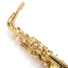 YANAGISAWA アルトサックス A-WO1_6