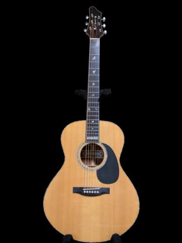 Beffnick BEFFNICK NEO with B-Band Pick Up