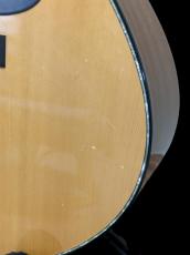 Beffnick BEFFNICK NEO with B-Band Pick Up_3