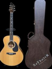 Beffnick BEFFNICK NEO with B-Band Pick Up_7