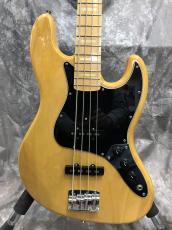 FUJIGEN NJB10MBAH_5