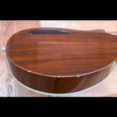 Gretsch E. Duo Jet 5128_9