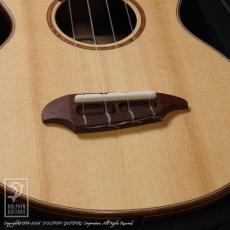 TODA Guitars VC (Madagascar Rosewood)_10