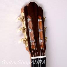 Shunpei Nishino　[西野　春平] 50号　ハウザーモデル_3