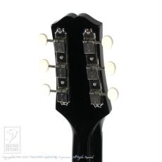 KING SNAKE Yucca (Black)_8