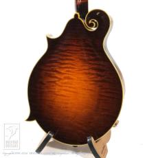Collings MF5 Deluxe Varnish_4