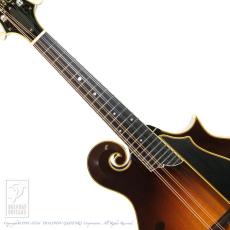 Collings MF5 Deluxe Varnish_5