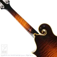 Collings MF5 Deluxe Varnish_6