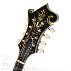Collings MF5 Deluxe Varnish_7