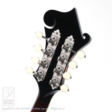 Collings MF5 Deluxe Varnish_8