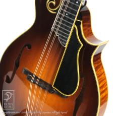 Collings MF5 Deluxe Varnish_11