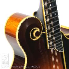 Collings MF5 Deluxe Varnish_12
