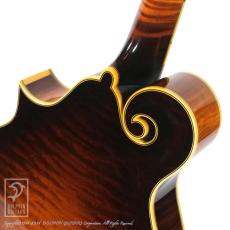 Collings MF5 Deluxe Varnish_13