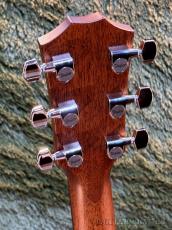 Taylor 【New Model!!】414ce V-Class #1209094050【48回迄金利0%対象】【送料当社負担】_5