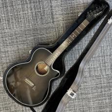 Takamine PT-106-6_3