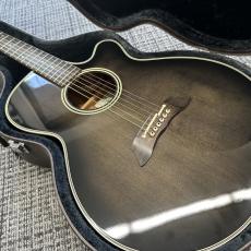 Takamine PT-106-6_6