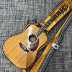 K.Yairi YW-500R_2