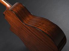 Taylor 314ce -Next Generation-【選定品!】_13