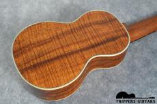 Martin Style-3K Custom (2010)_16