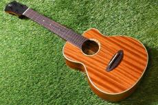 aNueNue UC110 GREEN BIRD Concert_2