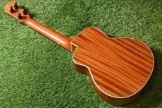aNueNue UC110 GREEN BIRD Concert_3