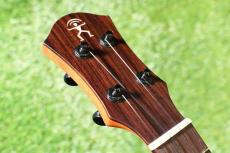 aNueNue UC110 GREEN BIRD Concert_5
