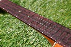 aNueNue UC110 GREEN BIRD Concert_6