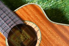 aNueNue UC110 GREEN BIRD Concert_9