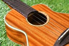 aNueNue UC110 GREEN BIRD Concert_10