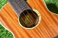 aNueNue UC110 GREEN BIRD Concert_11
