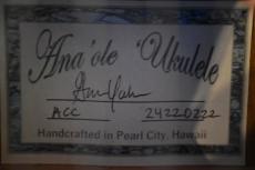 Ana'ole ACC Concert_15