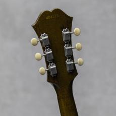 Epiphone E452TD Sorrento Royal Olive / 1966_10