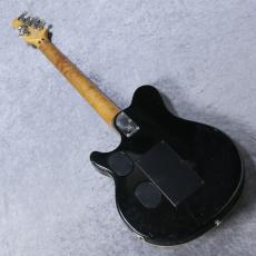MUSIC MAN EVH Signature -Translucent Red- 1993年製_9