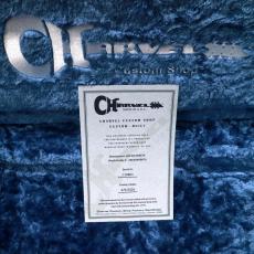 Charvel U.S.A Artist Series Jake E Lee USA Signature Model, Pearl White with Lavender Hue_10