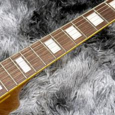 KING SNAKE Three Bone Amber Natural 【特価】【日本製】【フルアコ】_6