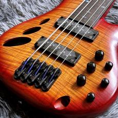 Ibanez SRD905F-BTL (Brown Topaz Burst Low Gloss) -Ibanez Bass Workshop-【特価】_3