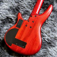 Ibanez SRD905F-BTL (Brown Topaz Burst Low Gloss) -Ibanez Bass Workshop-【特価】_8