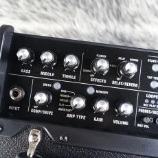 BOSS DUAL CUBE BASS LX_4