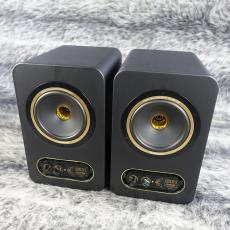 Tannoy GOLD 5_2