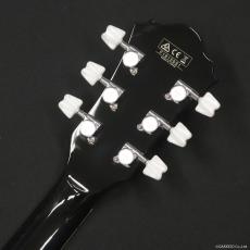 Ibanez ARTSTAR Series ASF-180 BK_8