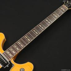 YAMAHA SA-50 NAT_3