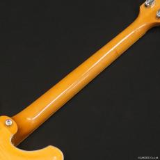 YAMAHA SA-50 NAT_7