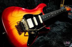 Valley Arts Custom Pro USA / 1992_10
