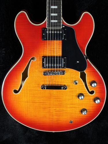 Sire 【GW版お茶の水大楽器祭】Larry Carlton H7-CS(Cherry Sunburst)-【ラリー・カールトン】
