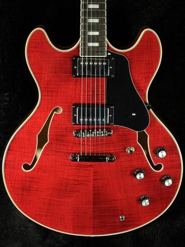 Sire 【GW版お茶の水大楽器祭】Larry Carlton H7-STR(See Through Red)-【ラリー・カールトン】